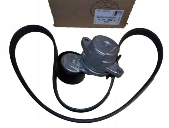 Купить Набор ремень привода citroen peugeot 1631627780 оригинал