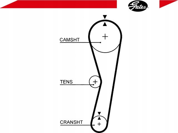 фото №2, Ремінь розподільного валу [gates]
