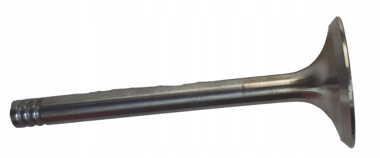 Купити Клапан впускний  freccia 4899/bmarcr 1.9td 2.4d vw audi