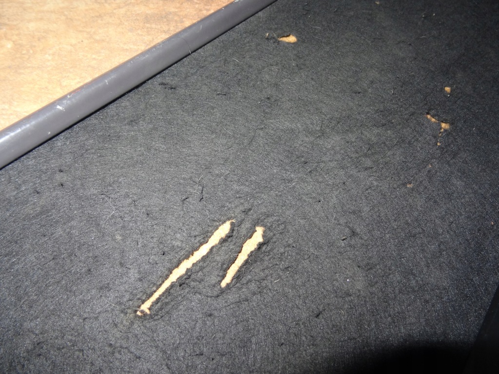 фото №9, W168 a-klasa 1.4b 01' полиця багажника