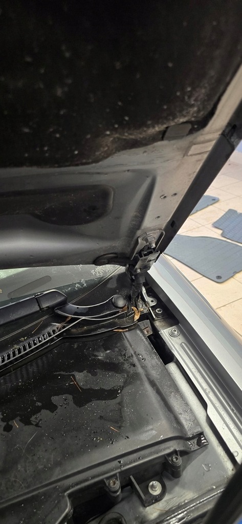 фото №13, Петля капот audi a4 b7 2004-2008 europa цвет 8e0823302e 8e0823301e