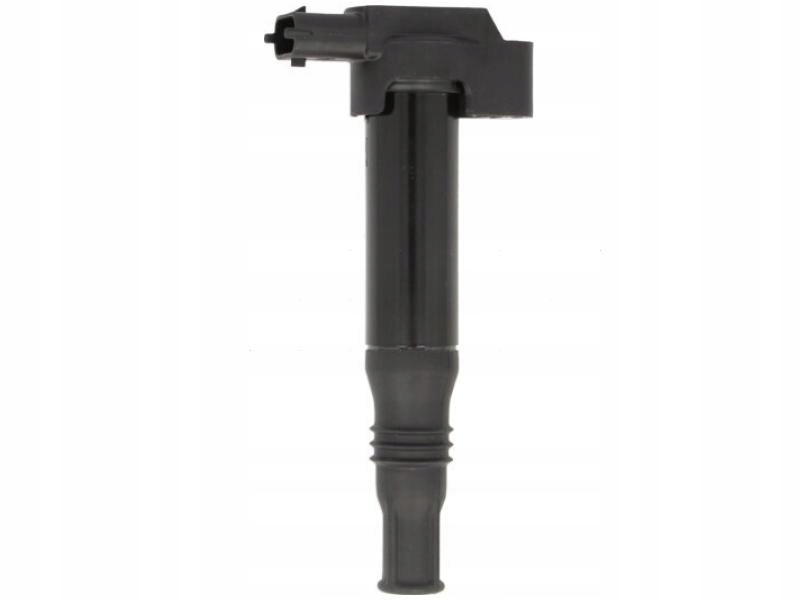 фото №1, Катушка зажигания delphi gn10583-12b1