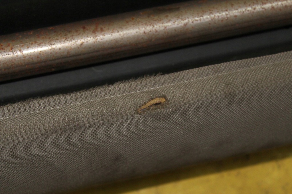 фото №8, Заднє сидіння сидіння сидіння pacifica i