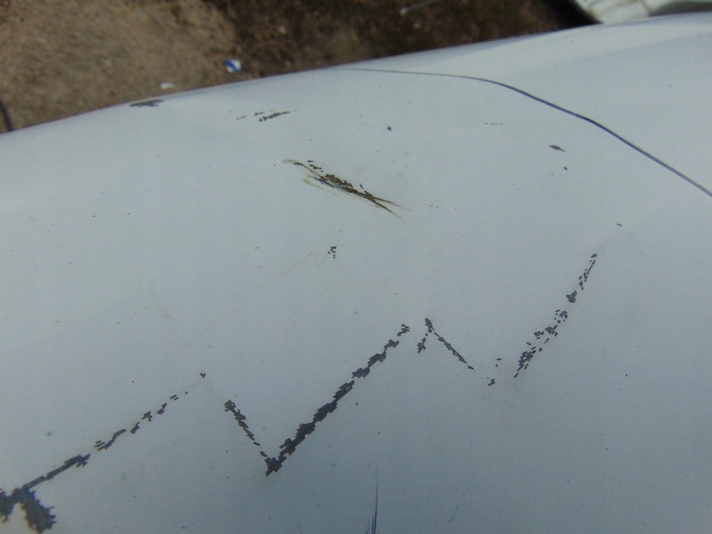 фото №9, Капот петли iveco daily 4 iv 2014r- europa