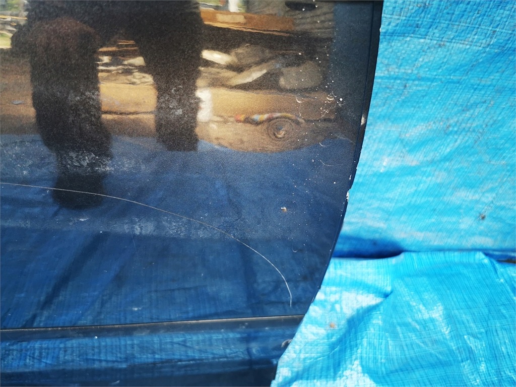 фото №5, Audi a3 8p sportback двері праве задня повний