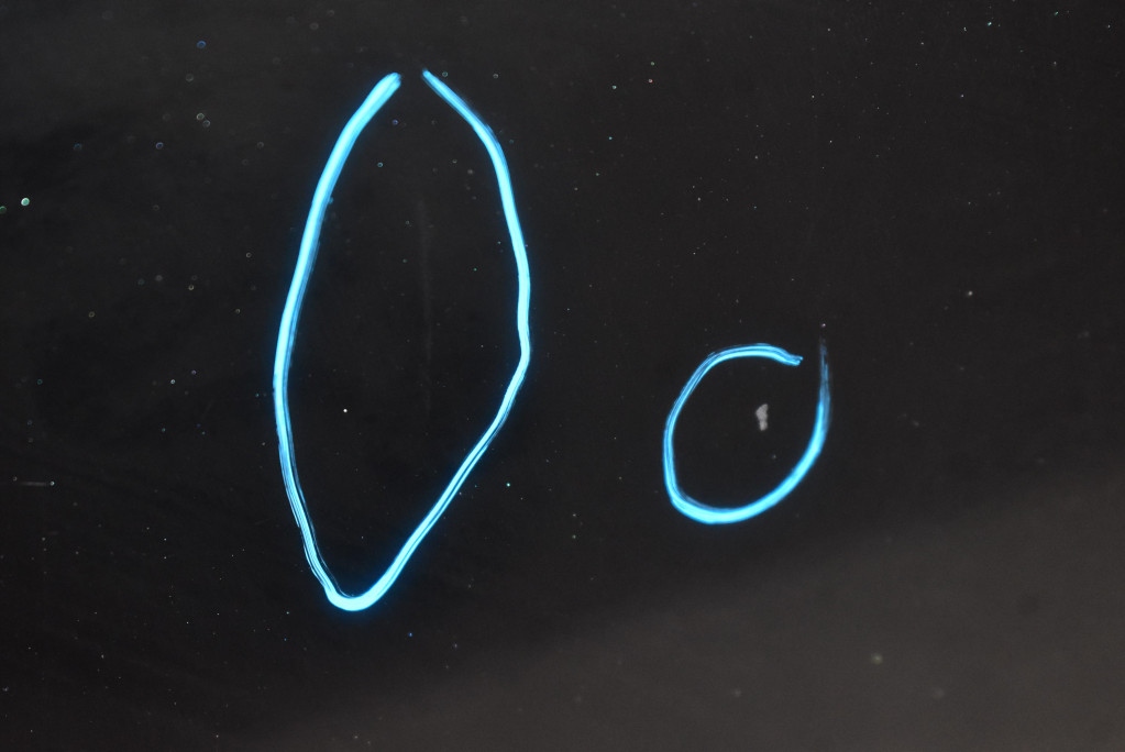 фото №8, Дверь правое задняя задние чёрные hyundai ioniq 5 v 21-