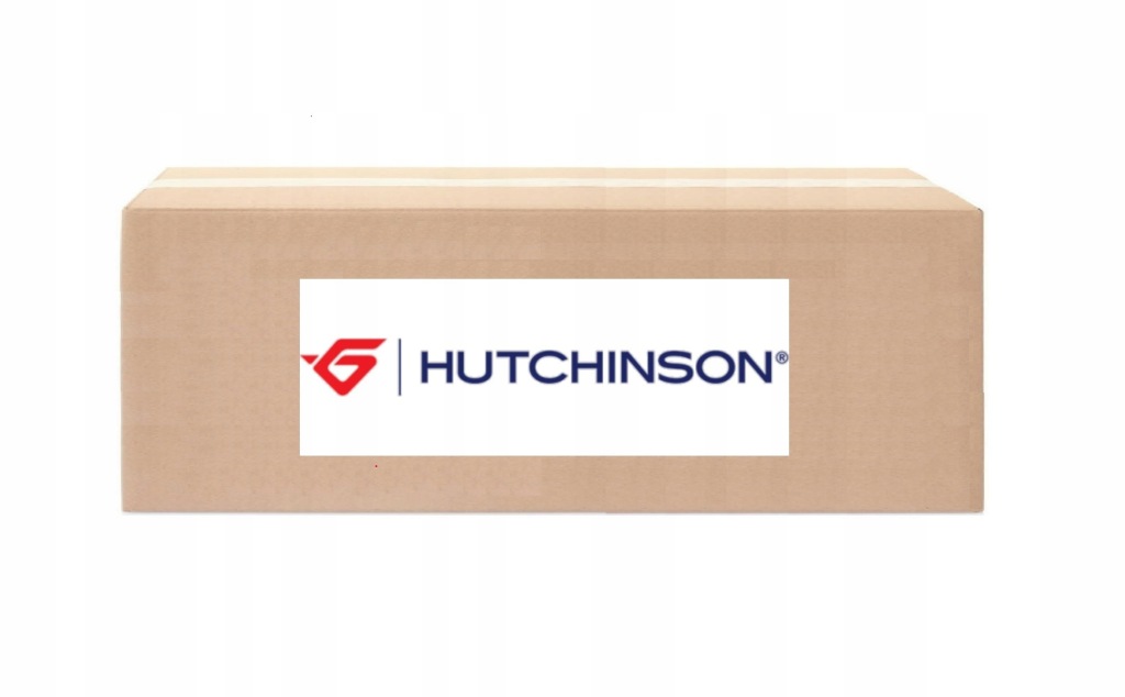 фото №1, Подушка двигуна hutchinson 594682