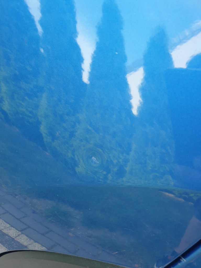 фото №6, Kia sportage iii дверь задняя задние левая 5b org