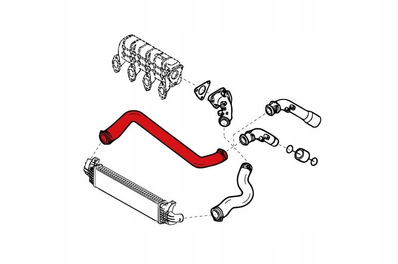 фото №10, Шланг турбіни renault master opel movano 2.8 dti
