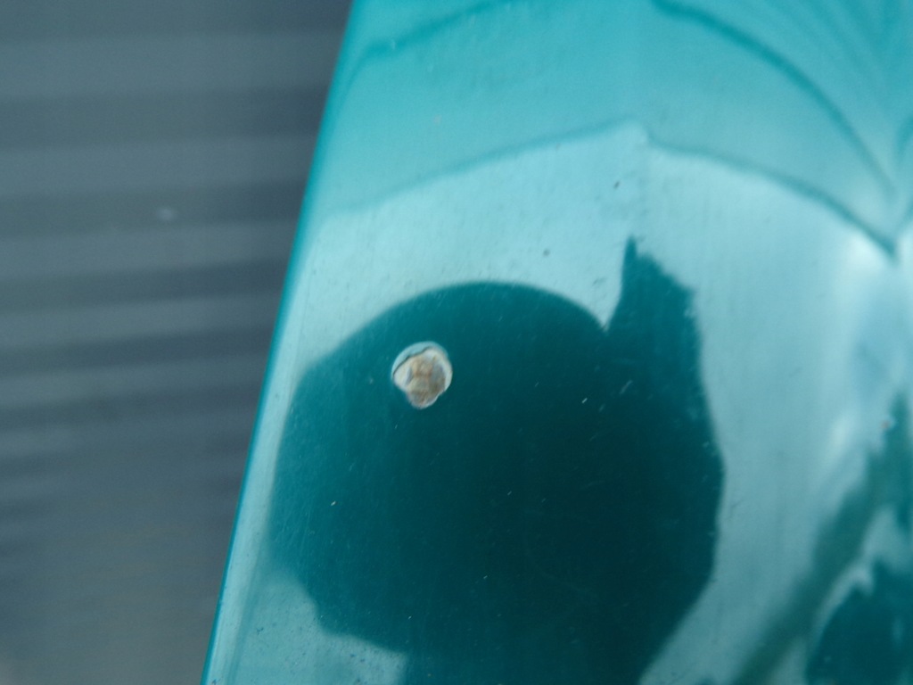 фото №7, Капот кришка двигуна renault kangoo 1 i lift