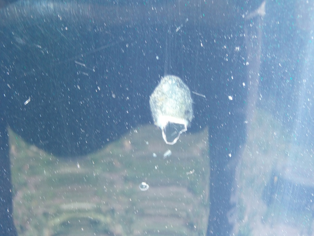 фото №5, Капот 816 mercedes c w203 2,2 cdi