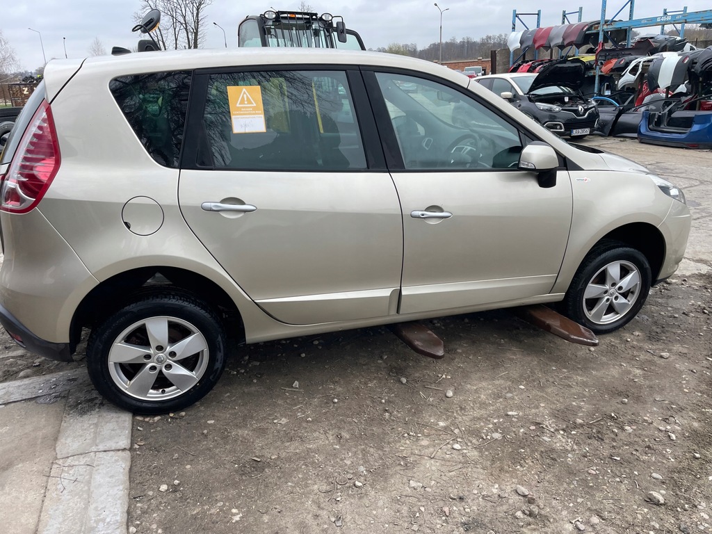 фото №1, Двері scenic iii ted11