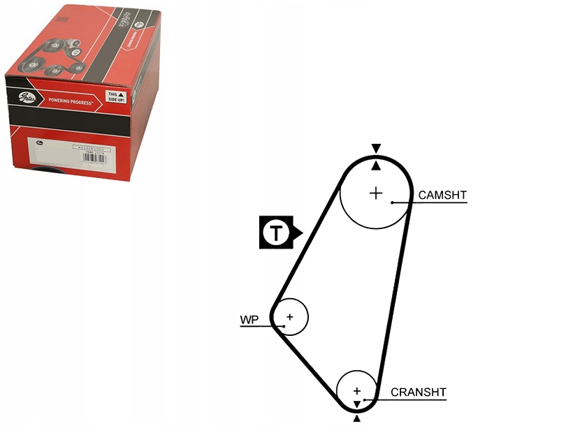 фото №5, Ремінь розподільного валу gates 5083