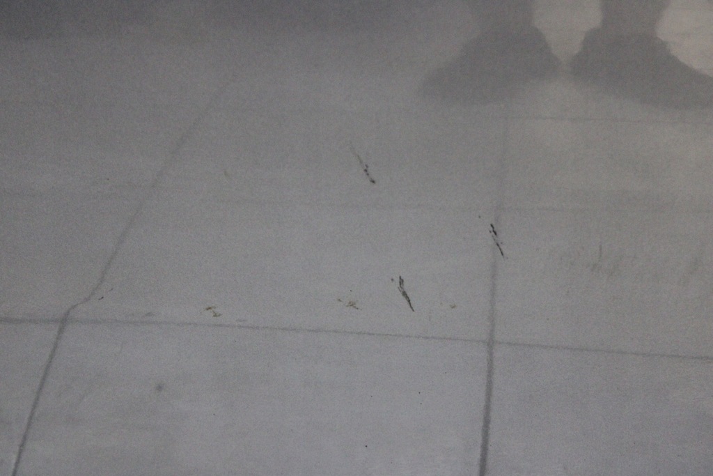 фото №7, Alfa romeo mito 08r- двері праве передні правий перед 669