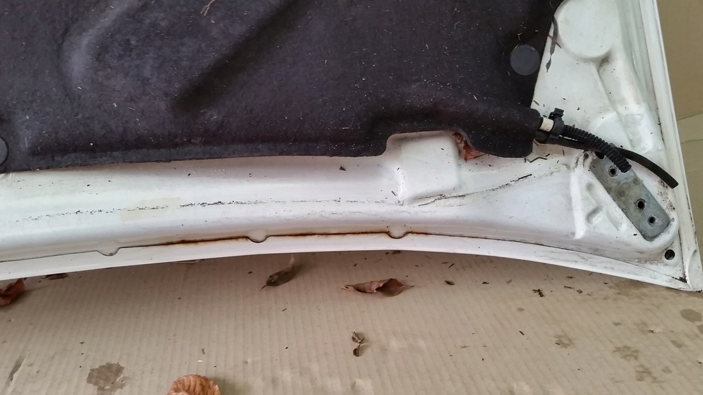 фото №16, Капот ford transit connect mk1 lift