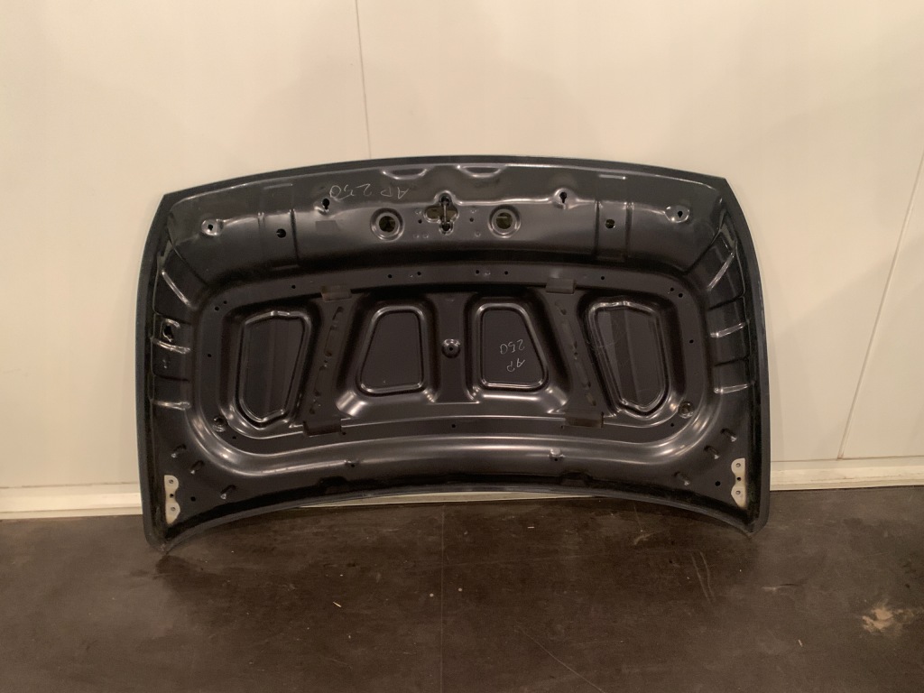 фото №4, Kia niro капот