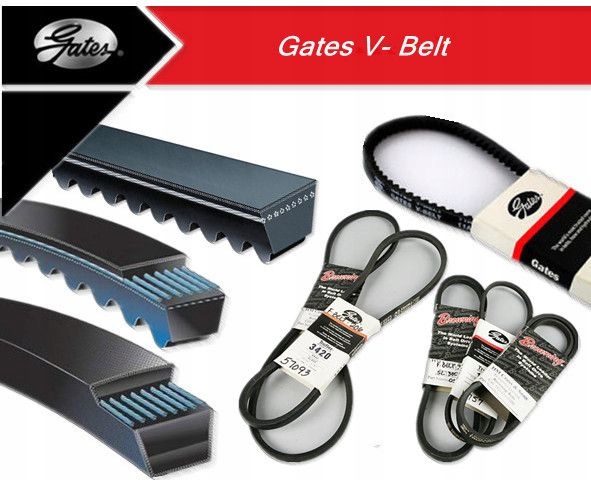 фото №1, Ремінь розподільного валу gates 5338xs