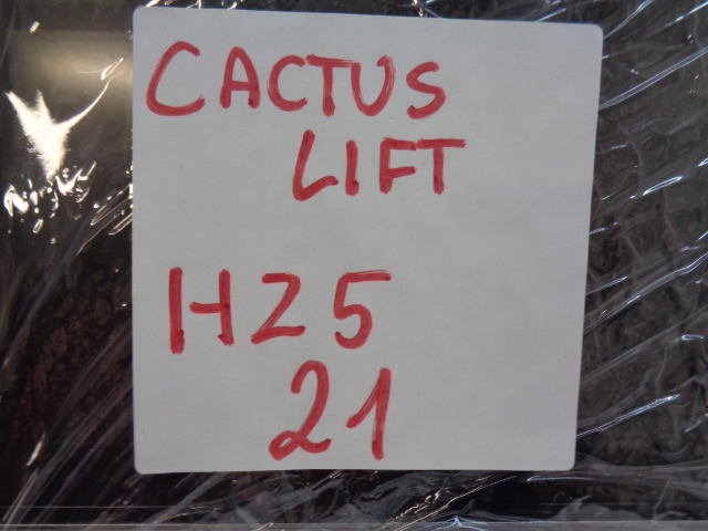 фото №12, Citroen c4 cactus дисплей радіо 98010025zd