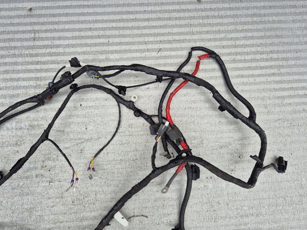 фото №5, Mustang mach-e 20- джгут датчиків pdc бампера передній nj8t15k867