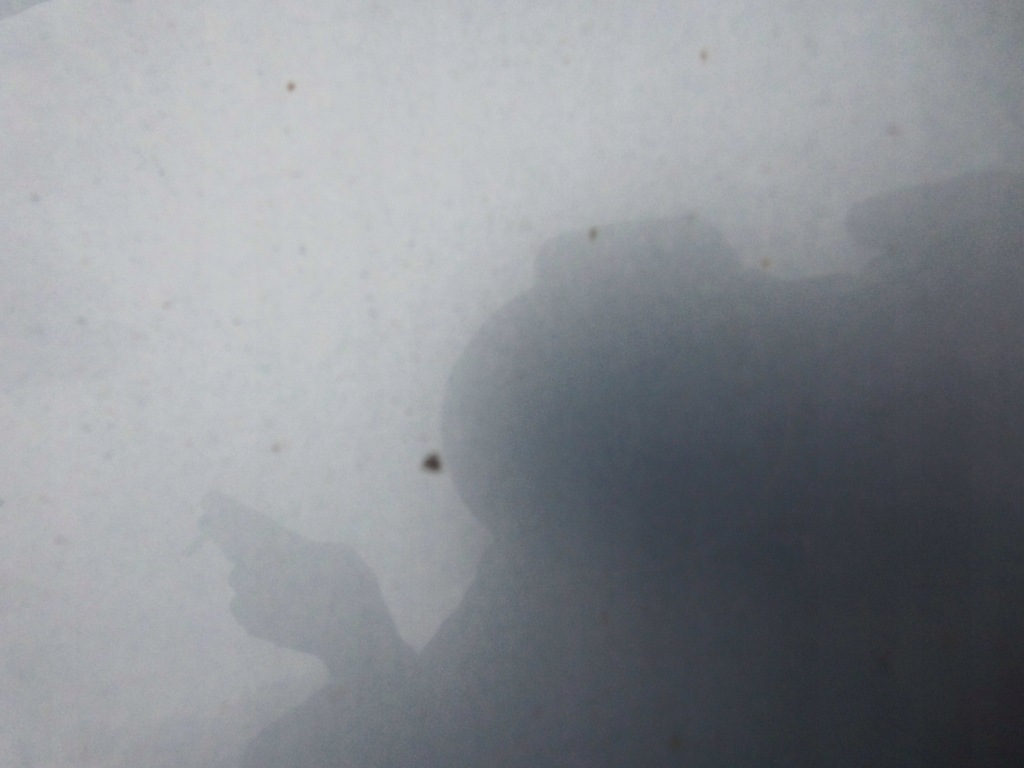 фото №13, Дверь skoda superb ii правое передние lf8k оригинал