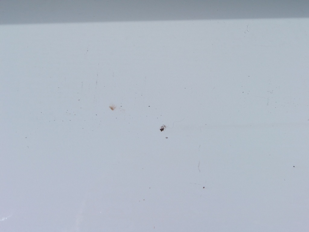 фото №9, Бампер задня volvo xc90 ii 31353430