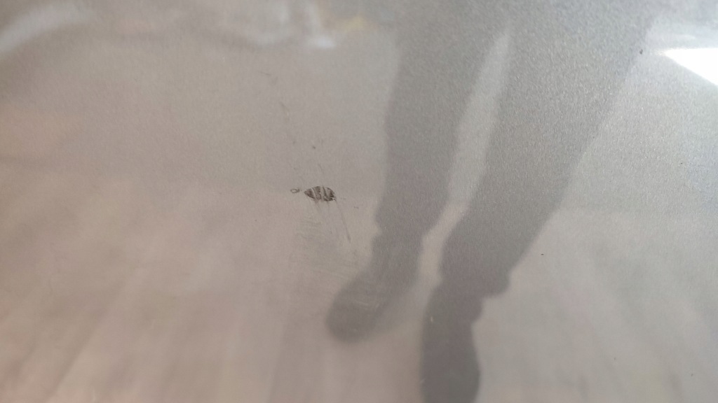 фото №8, Audi a3 8p 03- 8p0823029b капот кришка двигуна