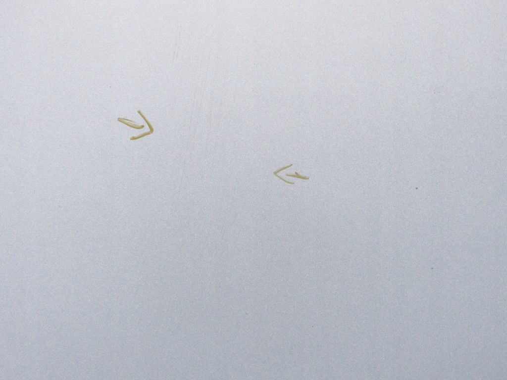 Капот кришка двигуна код лакофарбового покриття ted69 renault scenic 3 09-11r. 09r. Київ