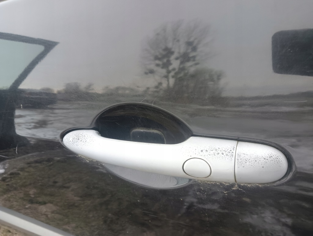 фото №1, Ручка наружная задняя левая renault scenic ii 2