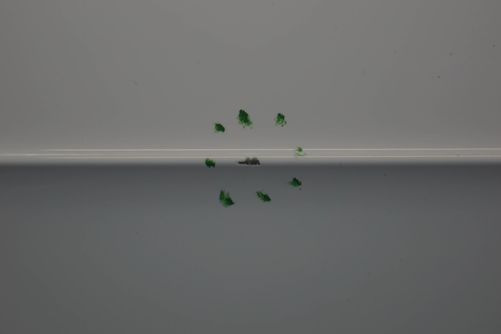 фото №13, Audi a3 8v sportback двері лівий перед ly9c d1528