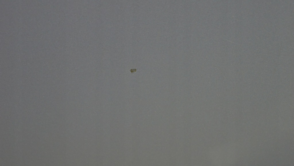 фото №7, Двері ліва бічний зсувні fiat doblo ii