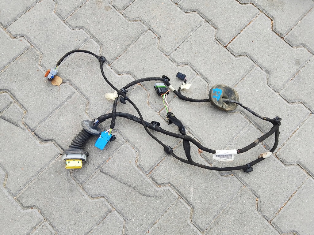 фото №1, Ds ds7 crossback citroen 2020 жгут дверь правый задняя 9826016280