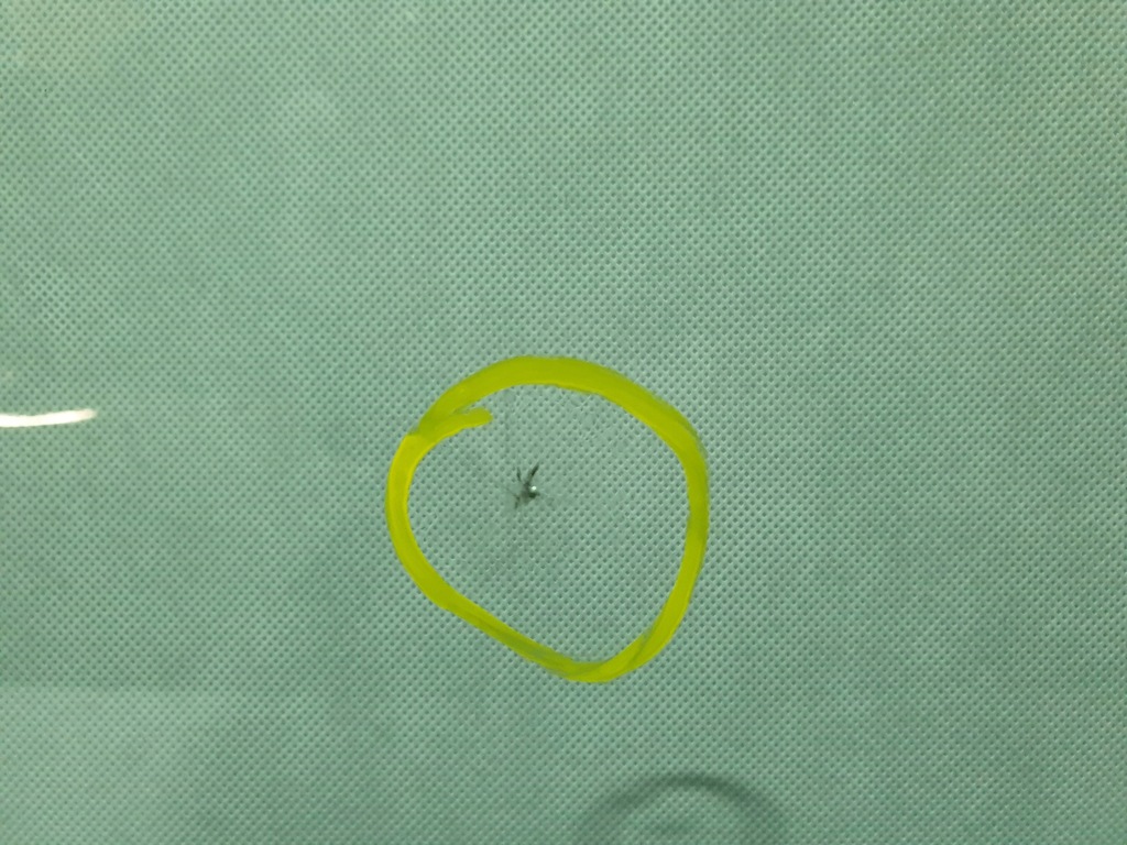 фото №5, Стекло лобовое mercedes a167 w167 gle 19r подогрев