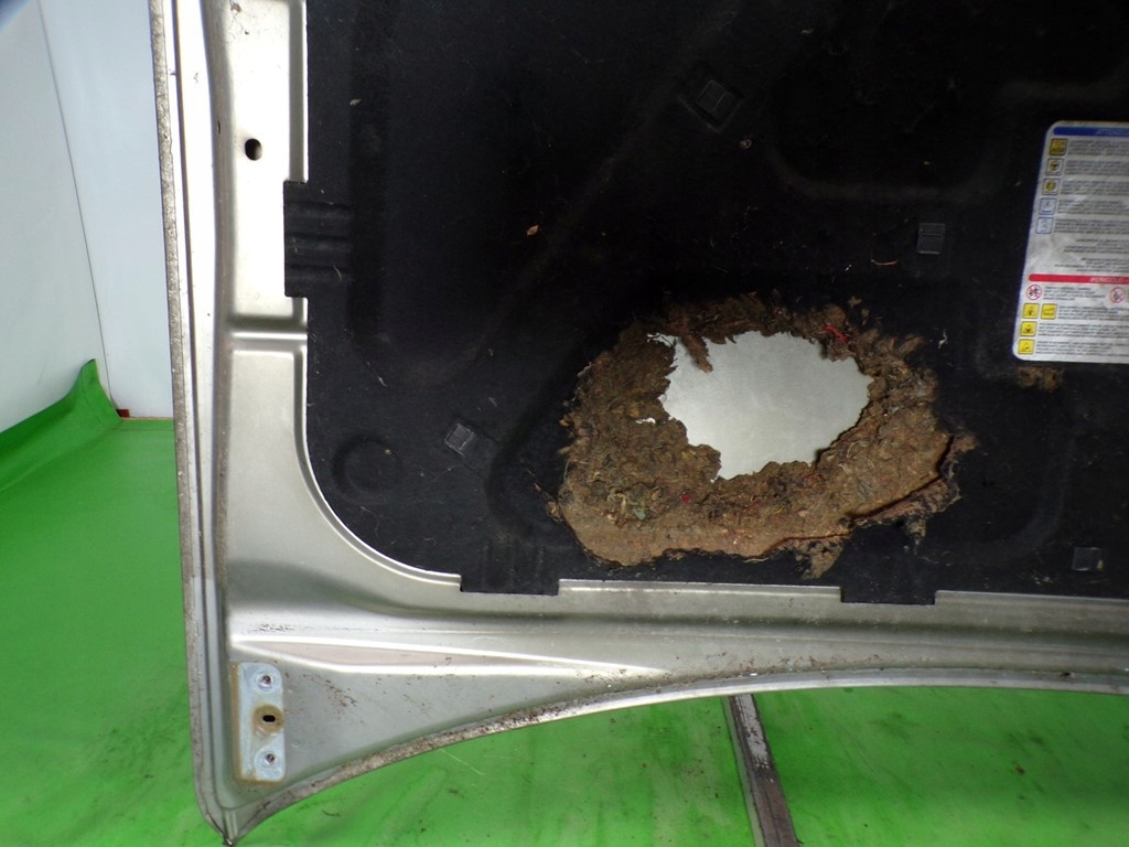 фото №12, Fiat croma ii капот передняя лак 272/b