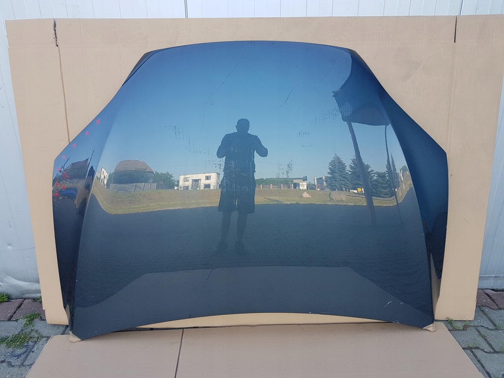 фото №1, Капот tesla x