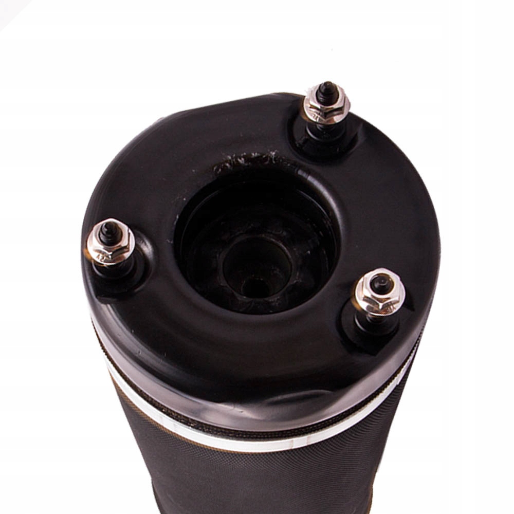 фото №10, 2513203013 подушка пневмоподушка do mercedes w251 v251