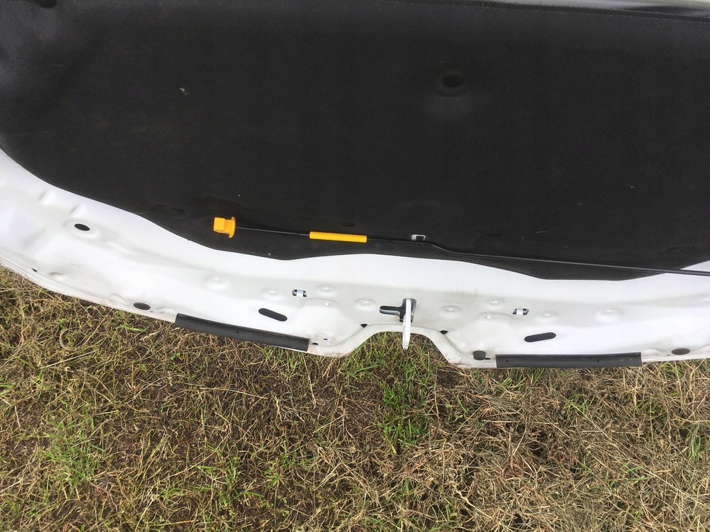 фото №11, Крышка двигателя капот renault clio v 2022 ov369