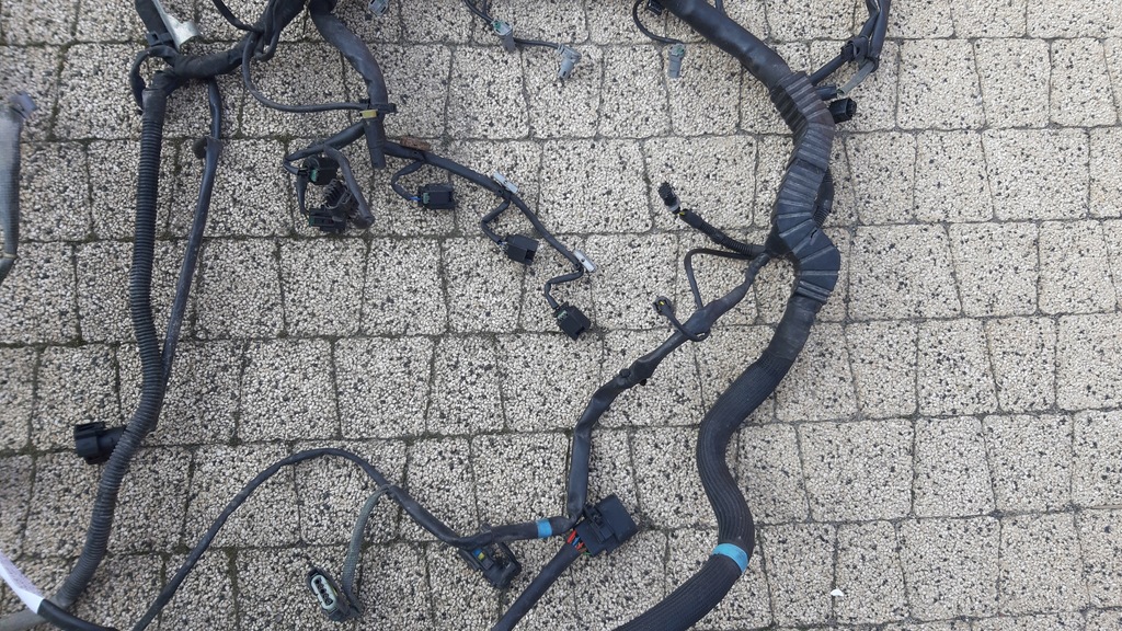 фото №5, Жгут двигателя mercedes gl x164 4.0cdi a6291501933