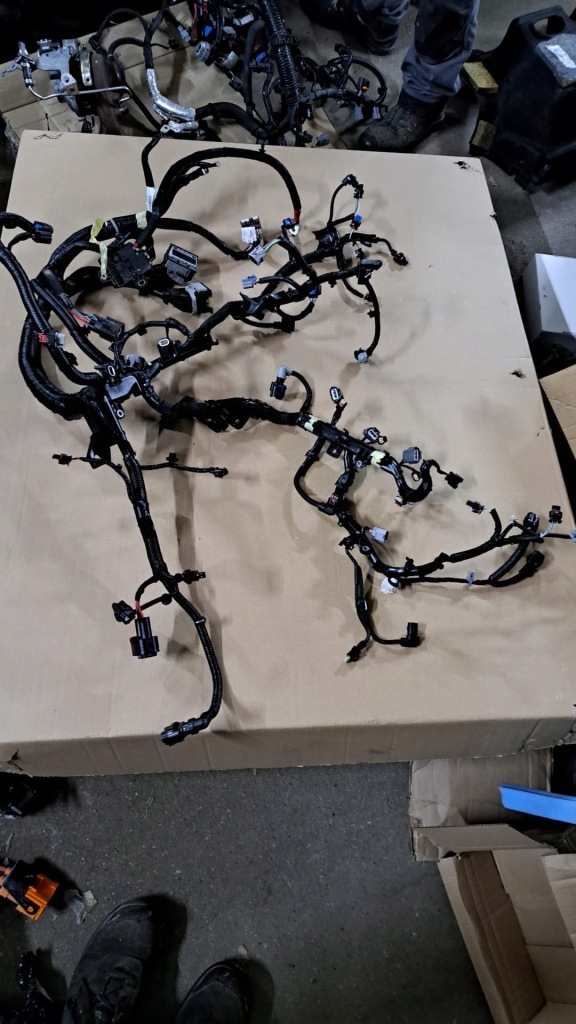 Купити Електропроводка відсік двигуна renault austral 1.2 e tech 240113464s