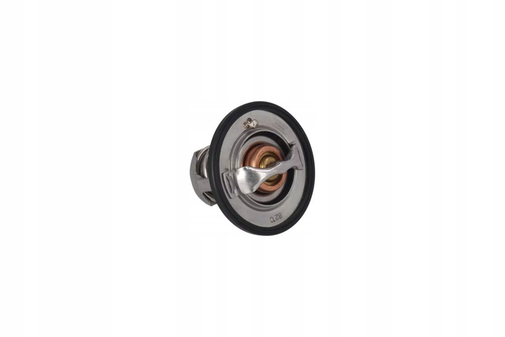 фото №3, Термостат вкладыш kamoka