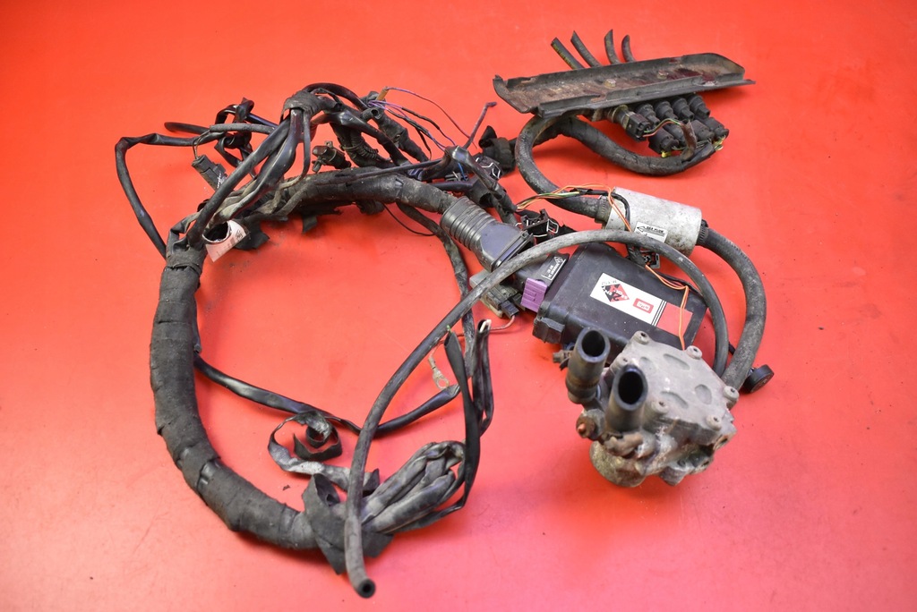 фото №12, Комплектная электропроводка газовая 67r011006 brc sequent 24