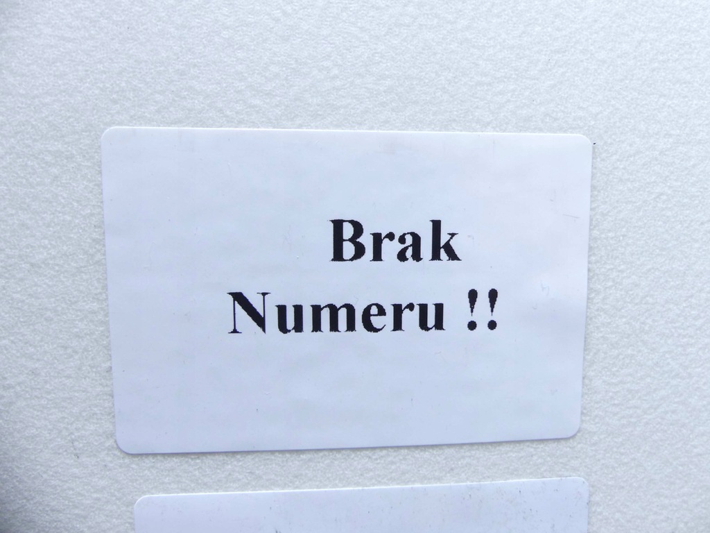 фото №12, Полиця задня задня lexus ls iv ls600h 06-12