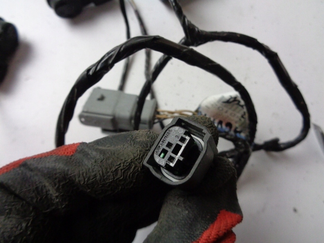 фото №3, Датчики pdc задня електропроводка renault laguna ii hb