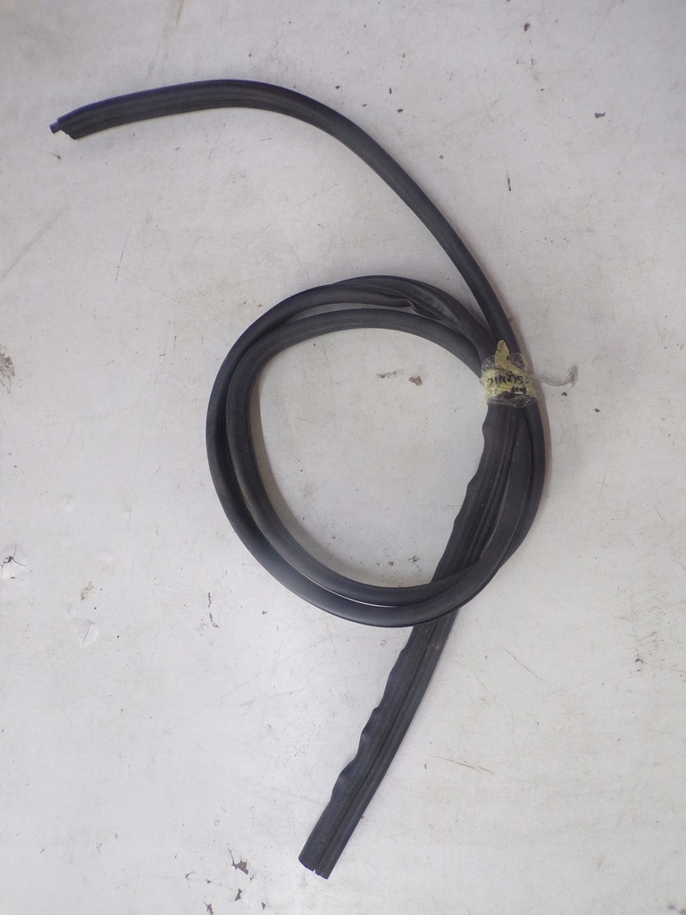 фото №1, Прокладка двері лівий/правий задня scenic ii