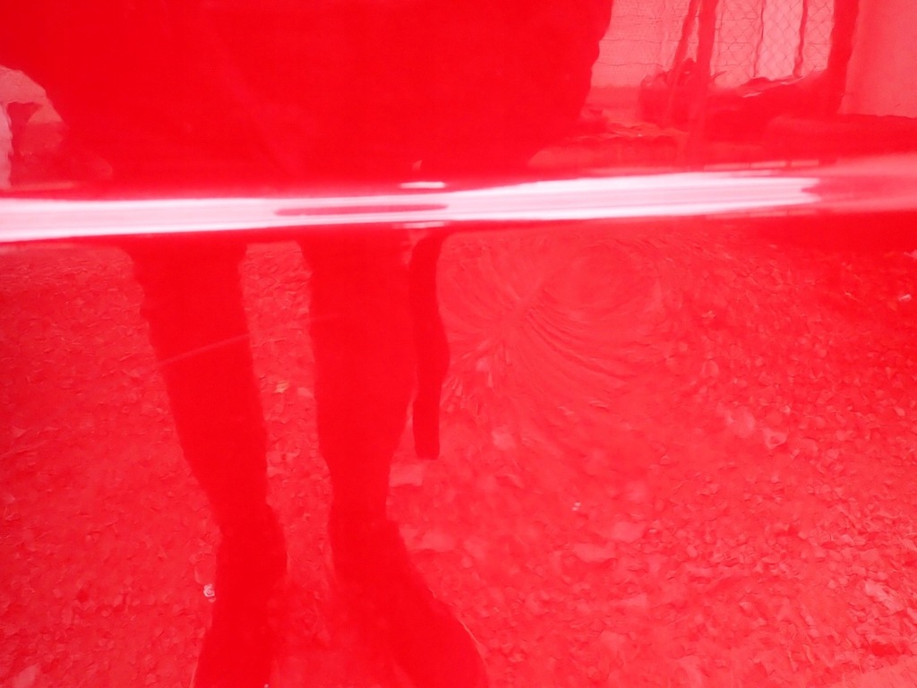 фото №9, Дверь правое задние правый задняя renault kangoo 2 ii 2008-2021r 901003757r