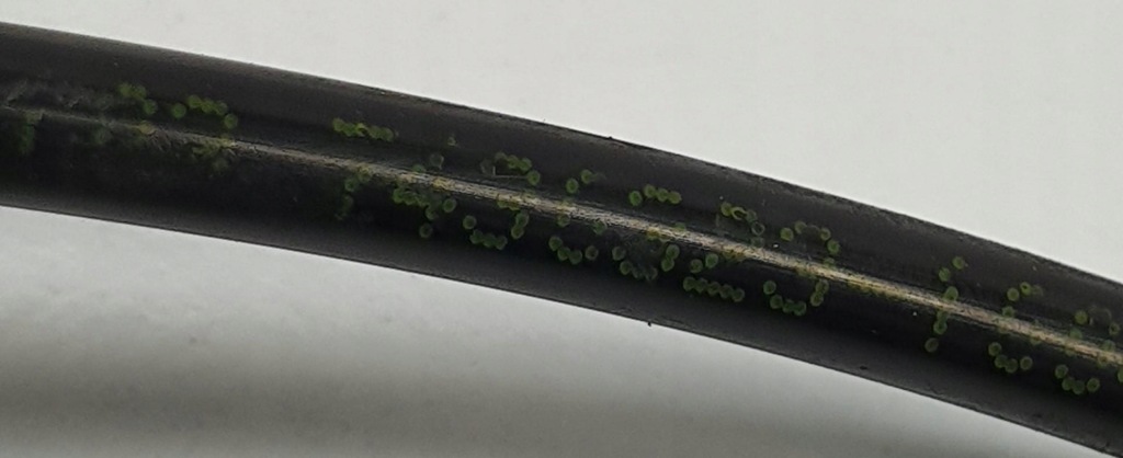 фото №4, Wąż трубка шланг топлива citroen berlingo ii 1.6 hdi 7436320