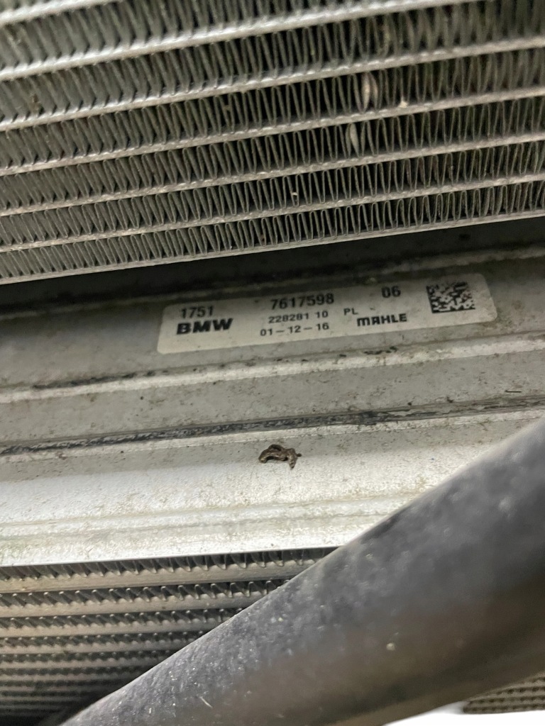 Ремінь передній + радіатор + вентилятор mini f55 f56 f57 b37 1.5d 116ps дизель Зі Шроту