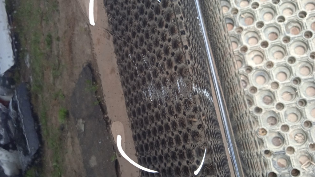 фото №13, Opel zafira b fl двері перед праве z20r 5d