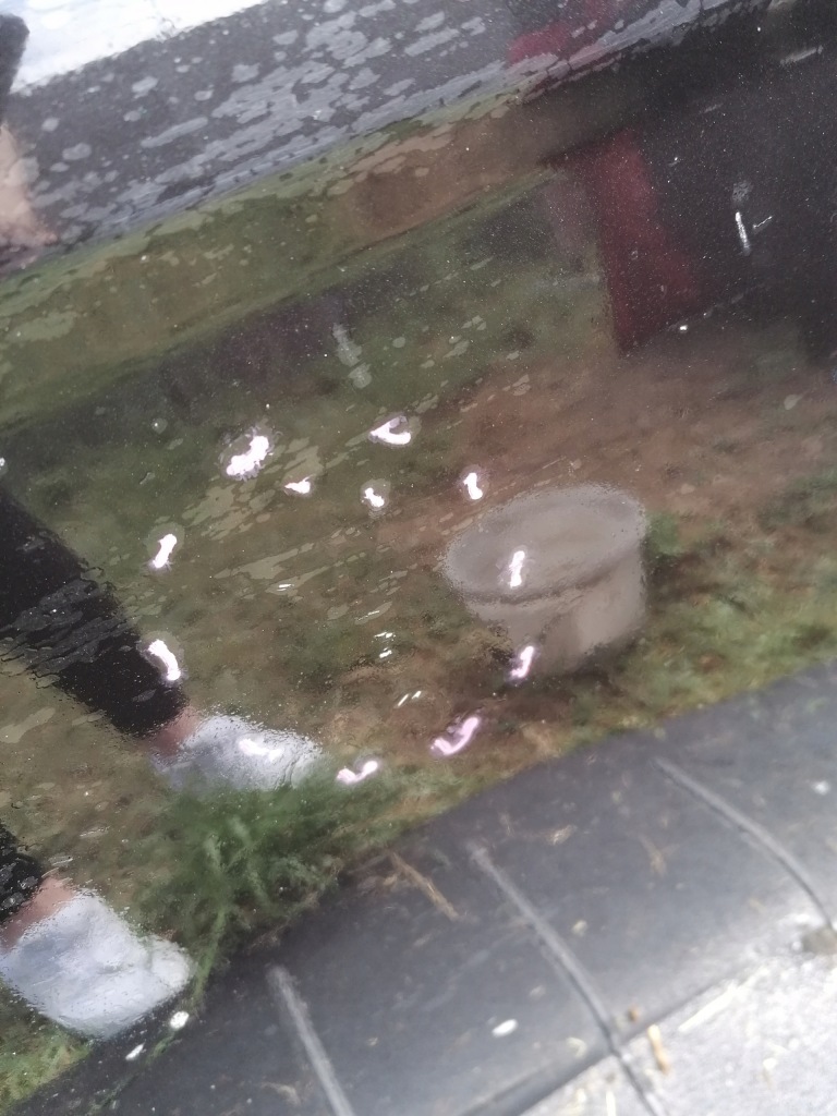 фото №3, Volvo xc60 15r lift двері лівий задня ліва задні