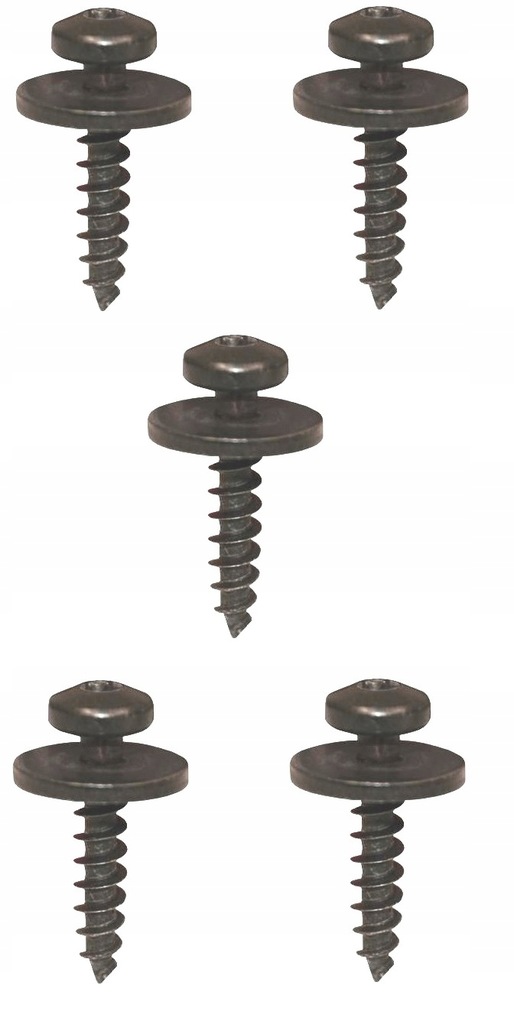 фото №1, Винт torx 5x24 защита renault modus vel satis