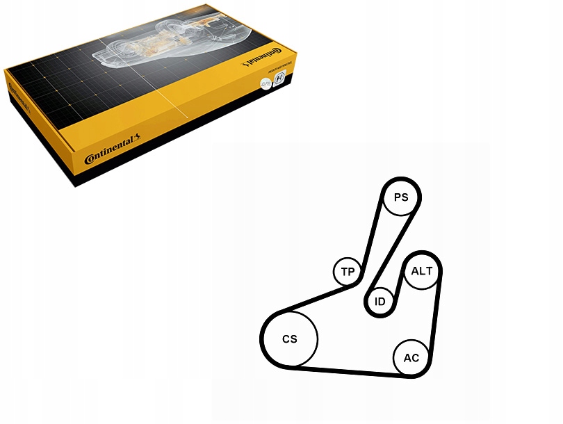 фото №1, Набор ремни многоручейковых с ролики citroen c5 c5 i c5 ii c8